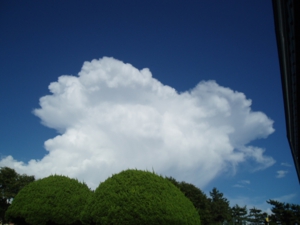 ミッキー型の雲