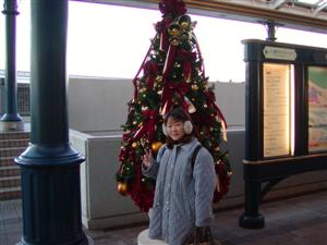 幕張の駅にはクリスマスツリー